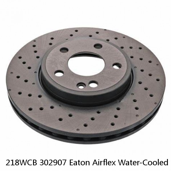 218WCB 302907 Eaton Airflex Water-Cooled Disc Brake Elements